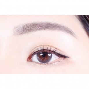 Holoris Mild Gray(日拋)